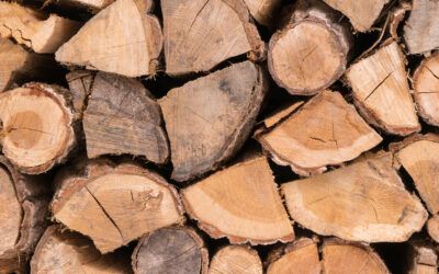 Fireplace cleaning and more in Lexington, MA